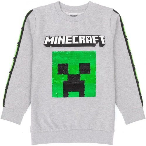 textil Niños Sudaderas Minecraft  Gris