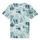 textil Niños Camisetas manga corta Calvin Klein Jeans TIE DYE AOP T-SHIRT Multicolor