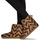 Zapatos Mujer Pantuflas Cool shoe DAKOTA Multicolor