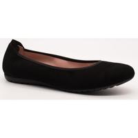 Zapatos Mujer Bailarinas-manoletinas Sabrinas 22010 Ant./ Negro Negro