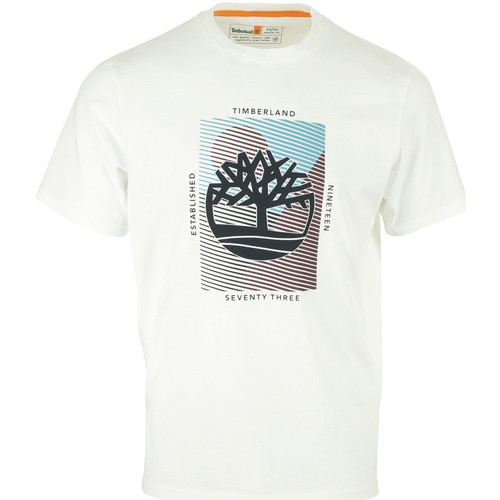 textil Hombre Camisetas manga corta Timberland Graphic Branded Tee Blanco