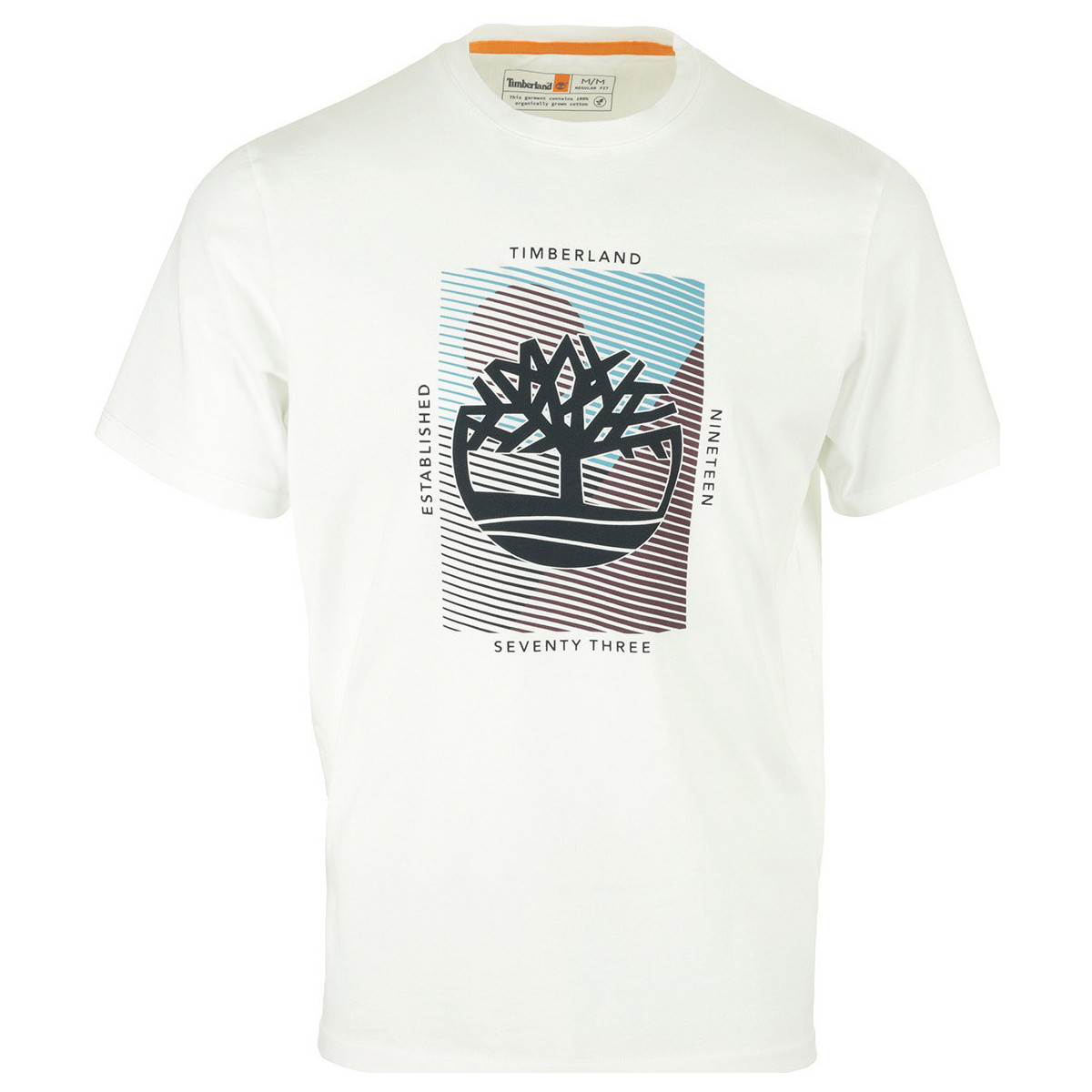 textil Hombre Camisetas manga corta Timberland Graphic Branded Tee Blanco