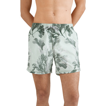 textil Hombre Shorts / Bermudas O'neill Short de bain  Origin Oyster Verde