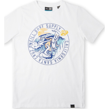 textil Niño Camisetas manga corta O'neill T-shirt enfant  Salt Blanco