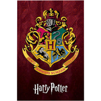 Casa Afiches / posters Harry Potter TA4109 Multicolor