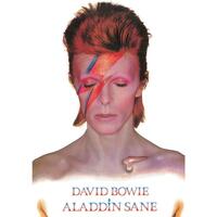 Casa Afiches / posters David Bowie TA8336 Multicolor