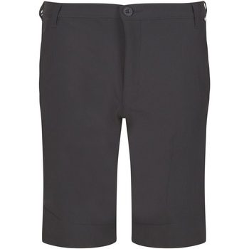 textil Hombre Shorts / Bermudas Regatta  Gris