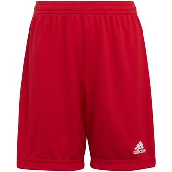 textil Niño Pantalones cortos adidas Originals Entrada 22 Rojo