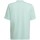 textil Niño Camisetas manga corta adidas Originals Entrada 22 Graphic Jersey Verdes, Grises