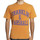 textil Hombre Camisetas manga corta Franklin & Marshall T-shirt à manches courtes Naranja