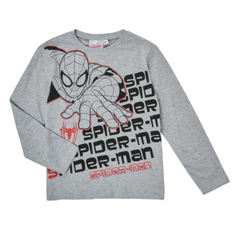 textil Niño Camisetas manga larga TEAM HEROES  T-SHIRT SPIDER-MAN Gris