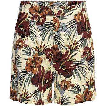 textil Mujer Shorts / Bermudas Only ONLIZABELL BERMUDA SHORTS PTM Multicolor