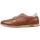 Zapatos Hombre Derbie & Richelieu Fluchos F1188 Marrón