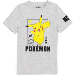 textil Niños Tops y Camisetas Pokemon NS6661 Gris