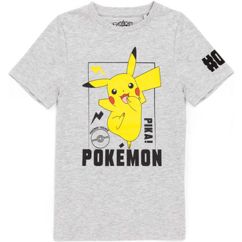 textil Niños Camisetas manga corta Pokemon  Gris