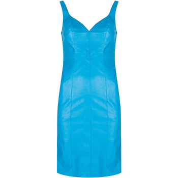 textil Mujer Vestidos cortos Pinko 1G160W 7105 | Pudico Abito Azul