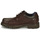 Zapatos Hombre Derbie Fluchos 1320-YANKEE-BRANDY Marrón