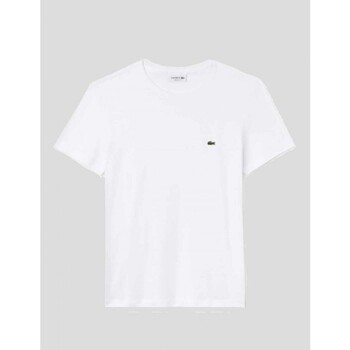 textil Hombre Camisetas manga corta Lacoste CAMISETA  CLASSIC REGULAR FIT   BLANC Blanco
