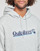 textil Hombre Sudaderas Quiksilver ALL LINED UP HOOD Gris