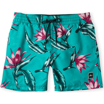 textil Niño Shorts / Bermudas O'neill Short enfant  Print Azul