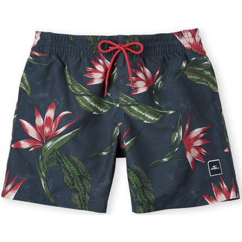 textil Niño Shorts / Bermudas O'neill Short enfant  Print Gris