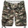 textil Hombre Shorts / Bermudas Surplus Pantalones cortos militares Division Shorts Multicolor
