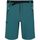 textil Hombre Shorts / Bermudas Regatta Xert III Multicolor