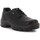 Zapatos Hombre Derbie & Richelieu Chiruca Zapatos  Fox Enciso 03 Gore-Tex Negro
