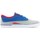 Zapatos Niños Zapatos de skate DC Shoes Sultan TX Grises, Azul