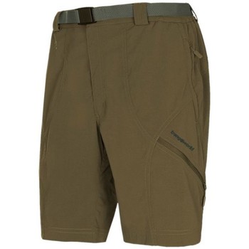 textil Hombre Shorts / Bermudas Trangoworld Pantalones cortos Limut VN Hombre Fir Green Verde