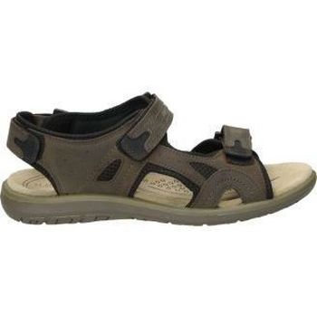 Zapatos Hombre Sandalias Palmipao-Aclys Be Fly Flow S120-05-03 Marrón