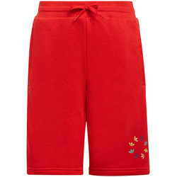 textil Niños Shorts / Bermudas adidas Originals HE6834 Rojo