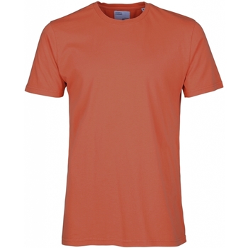 textil Tops y Camisetas Colorful Standard T-shirt  Classic Organic dark amber Rojo