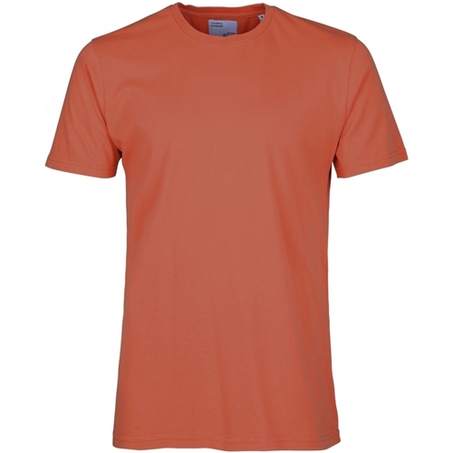 textil Camisetas manga corta Colorful Standard T-shirt  Classic Organic dark amber Rojo