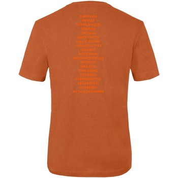 Salewa Pure Dolomites Hemp Men's T-Shirt 28329-4170 Naranja