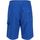 textil Hombre Shorts / Bermudas Regatta Hotham IV Multicolor