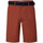 textil Hombre Shorts / Bermudas Petrol Industries  Rojo