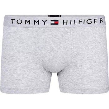 textil Hombre Pijama Tommy Jeans CALZONCILLOS GRISES TRUNK TOMMY HILFIGER 01646 Gris