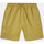 textil Hombre Shorts / Bermudas Dickies Pelican rapids Verde