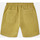 textil Hombre Shorts / Bermudas Dickies Pelican rapids Verde