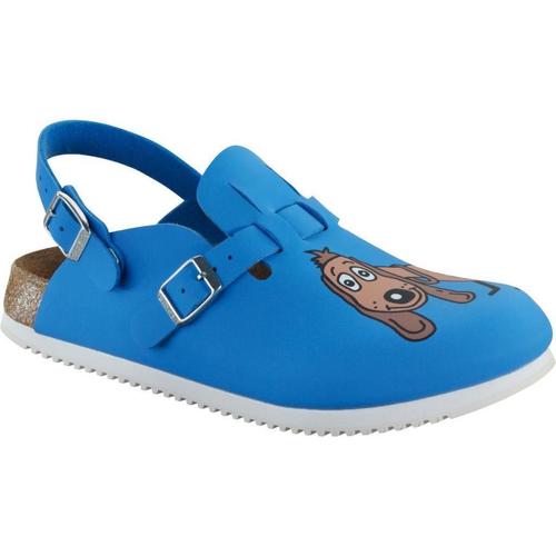 Zapatos Mujer Zuecos (Mules) Birkenstock 582536 Azul