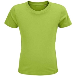 textil Niños Tops y Camisetas Sols Crusader Verde