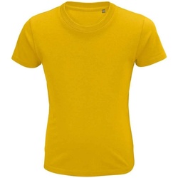 textil Niños Tops y Camisetas Sols Crusader Multicolor