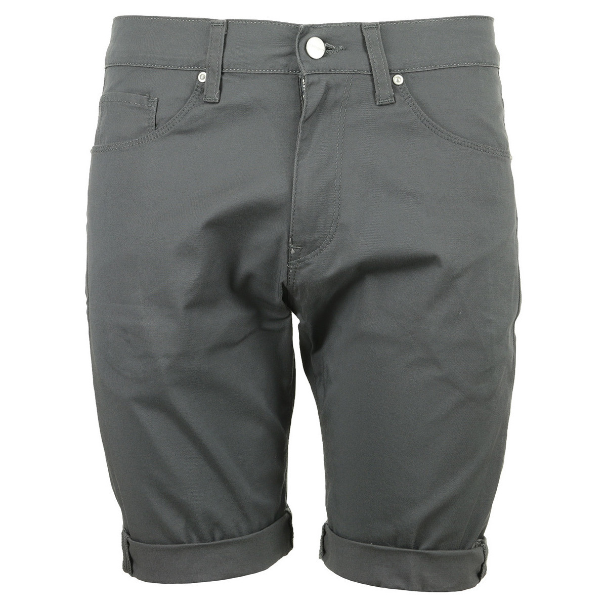 textil Hombre Shorts / Bermudas Carhartt Swell Short Gris