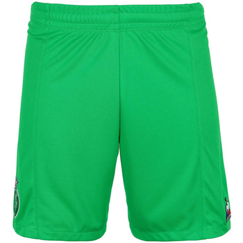 textil Niño Shorts / Bermudas Le Coq Sportif  Verde