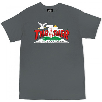 textil Hombre Tops y Camisetas Thrasher T-shirt the city Gris