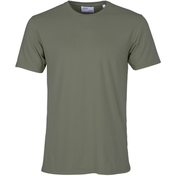 textil Camisetas manga corta Colorful Standard T-shirt  Classic Organic dusty olive Verde