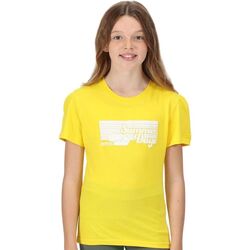 textil Niños Tops y Camisetas Regatta RG7462 Multicolor