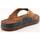 Zapatos Hombre Sandalias Pikolinos M4L-0069 Beige