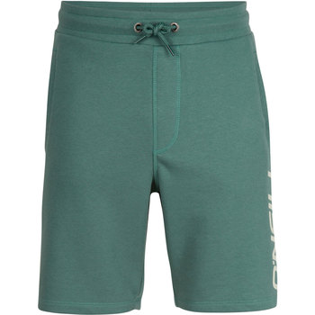 textil Hombre Shorts / Bermudas O'neill Essentials Verde